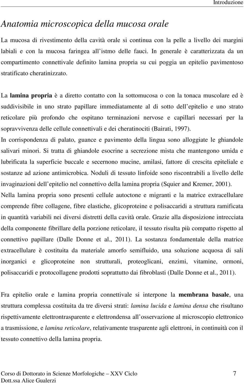 La lamina propria è a diretto contatto con la sottomucosa o con la tonaca muscolare ed è suddivisibile in uno strato papillare immediatamente al di sotto dell epitelio e uno strato reticolare più