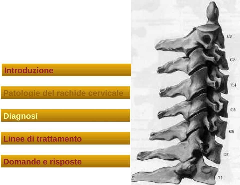 Diagnosi Linee di