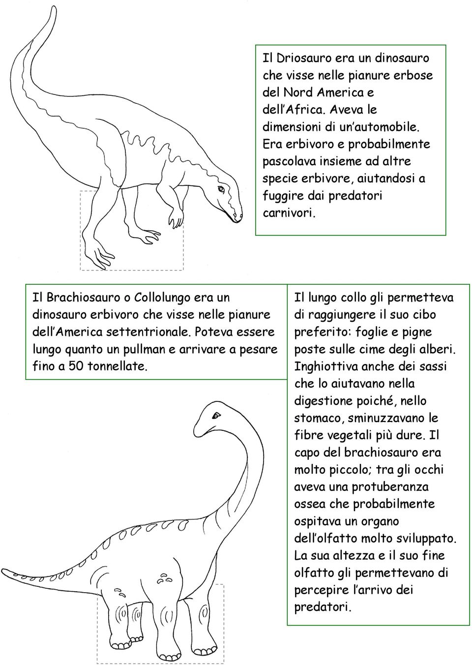 Il Brachiosauro o Collolungo era un dinosauro erbivoro che visse nelle pianure dell America settentrionale. Poteva essere lungo quanto un pullman e arrivare a pesare fino a 50 tonnellate.