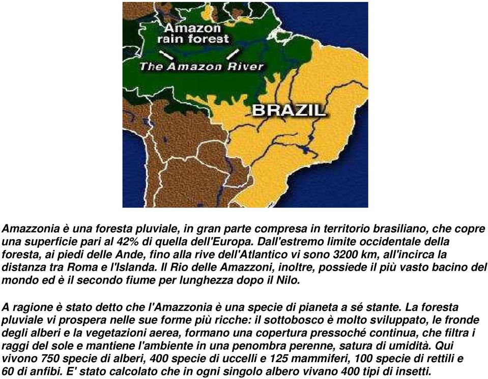 Il Rio delle Amazzoni, inoltre, possiede il più vasto bacino del mondo ed è il secondo fiume per lunghezza dopo il Nilo. A ragione è stato detto che l'amazzonia è una specie di pianeta a sé stante.