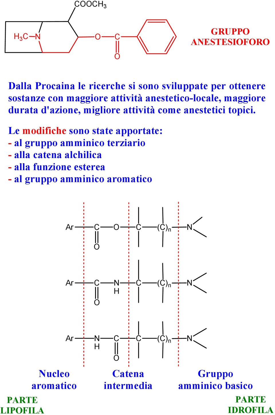 Le modifiche sono state apportate: - al gruppo amminico terziario - alla catena alchilica - alla funzione esterea -