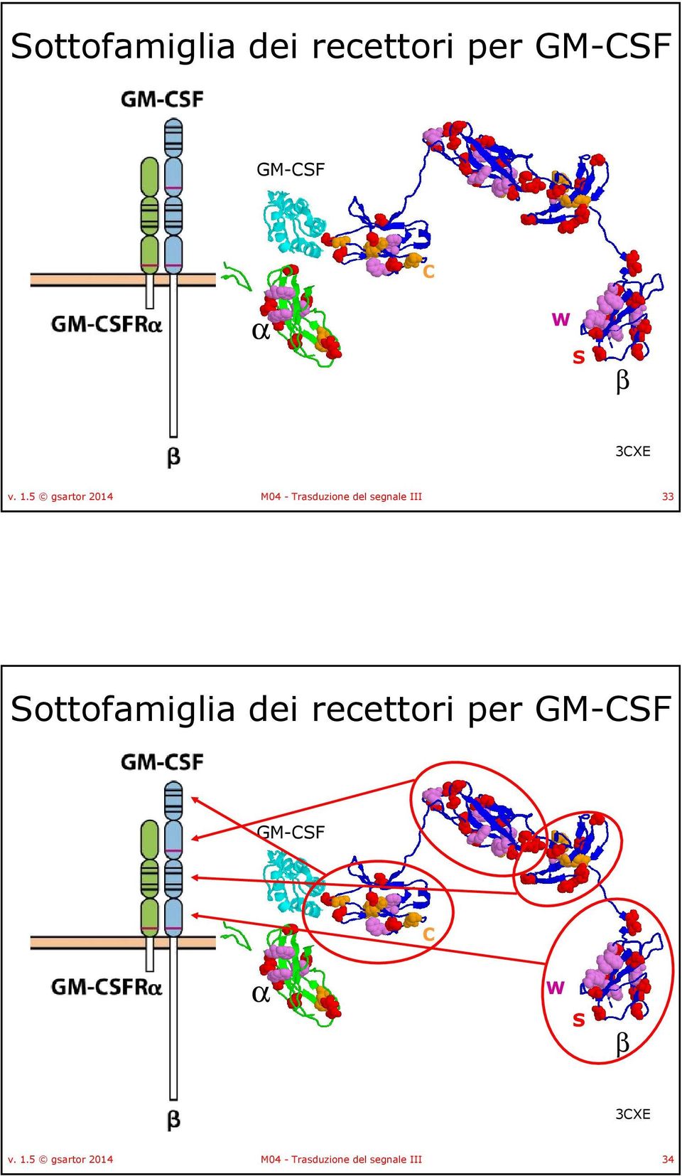 5 gsartor 2014 M04 - Trasduzione del segnale III 33  5