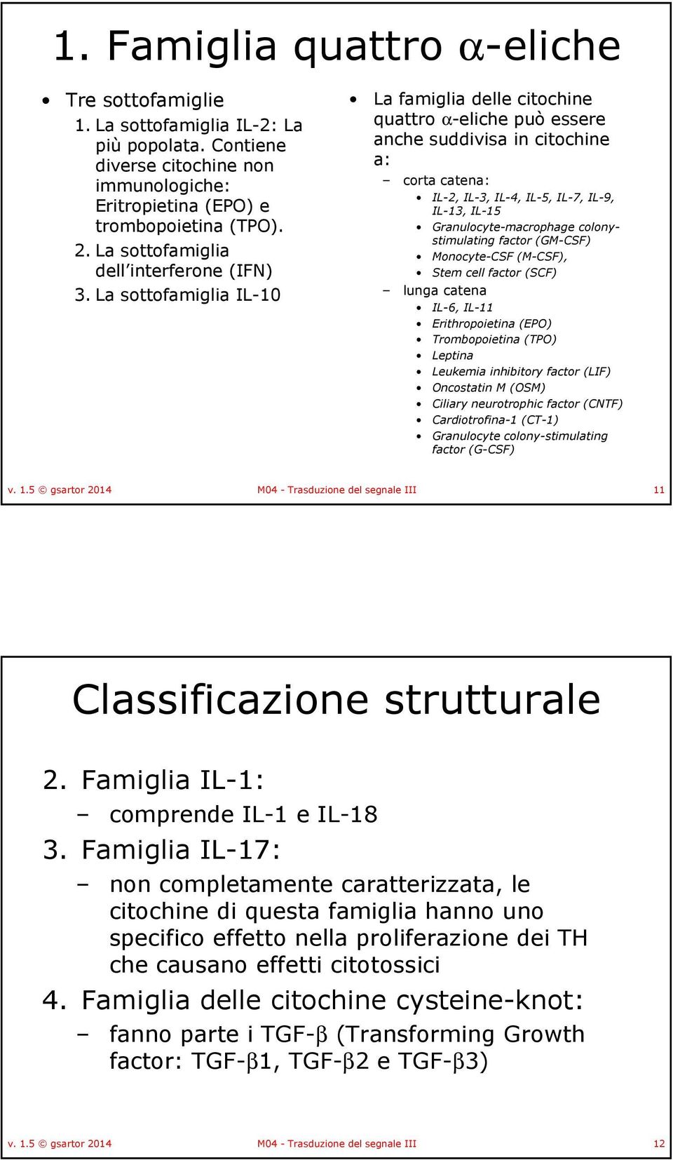 La sottofamiglia IL-10 La famiglia delle citochine quattro α-eliche può essere anche suddivisa in citochine a: corta catena: IL-2, IL-3, IL-4, IL-5, IL-7, IL-9, IL-13, IL-15 Granulocyte-macrophage