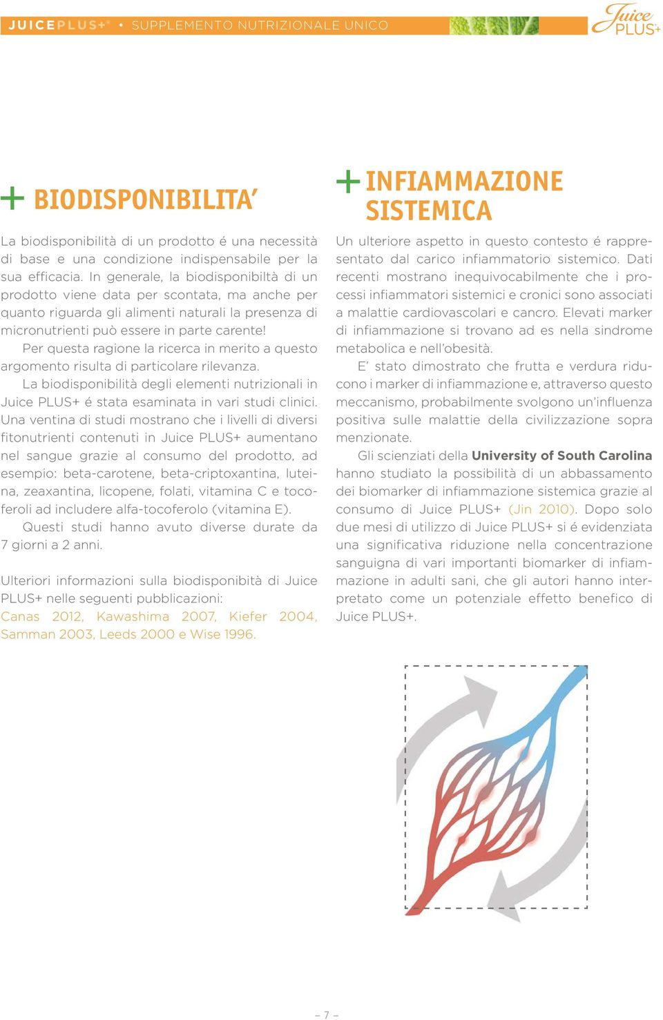 Per questa ragione la ricerca in merito a questo argomento risulta di particolare rilevanza. La biodisponibilità degli elementi nutrizionali in Juice PLUS+ é stata esaminata in vari studi clinici.