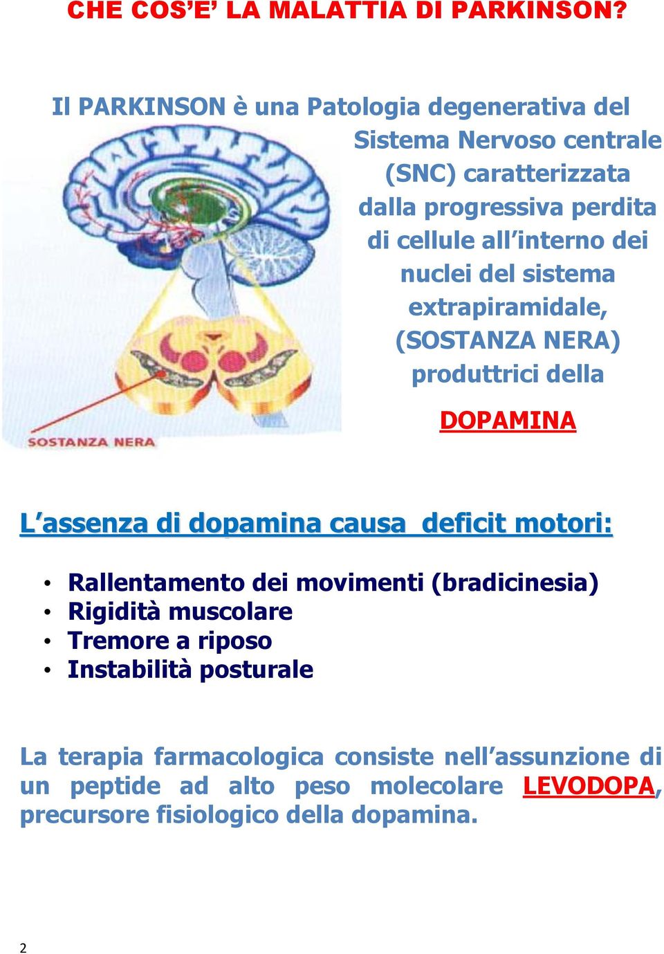 interno dei nuclei del sistema extrapiramidale, (SOSTANZA NERA) produttrici della DOPAMINA L assenza di dopamina causa deficit motori: