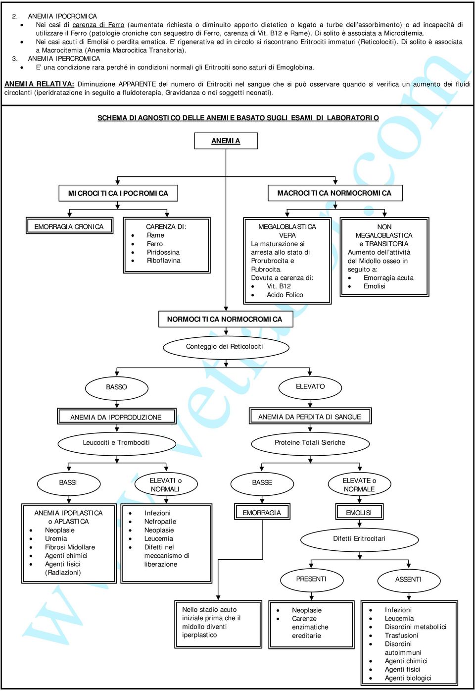 E rigenerativa ed in circolo si riscontrano Eritrociti immaturi (Reticolociti). Di solito è associata a Macrocitemia (Anemia Macrocitica Transitoria). 3.