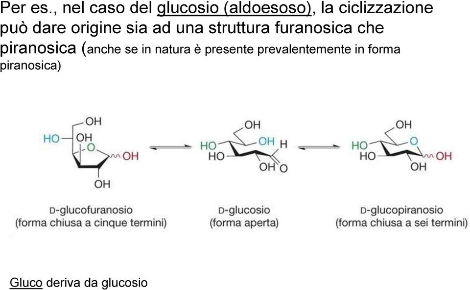 può dare origine sia ad una struttura furanosica che