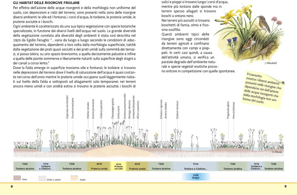 Ogni ambiente è caratterizzato da una sua tipica vegetazione con specie botaniche specializzate, in funzione dei diversi livelli dell'acqua nel suolo.