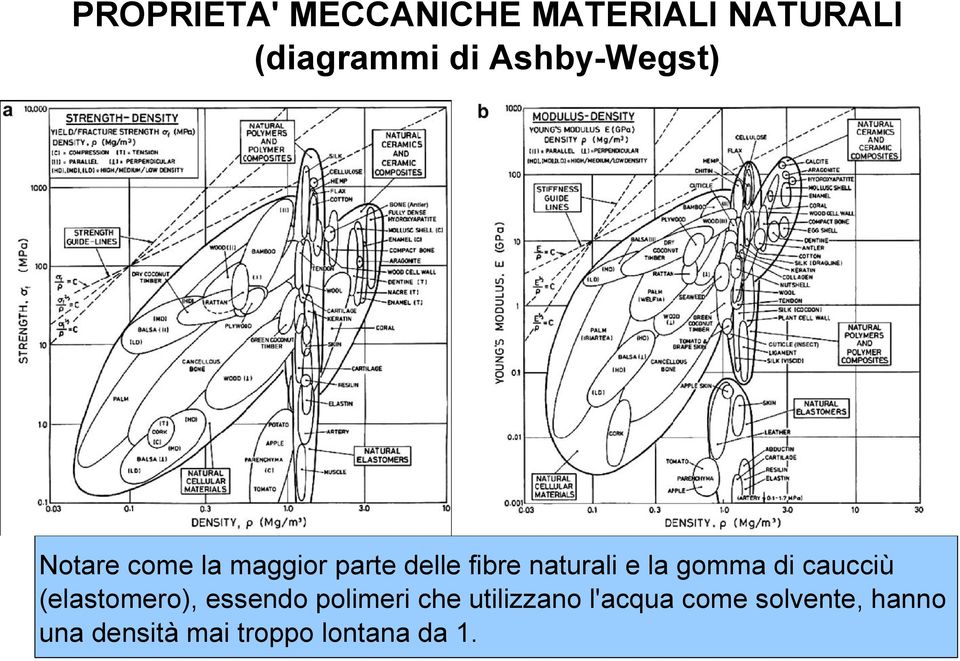 e la gomma di caucciù (elastomero), essendo polimeri che