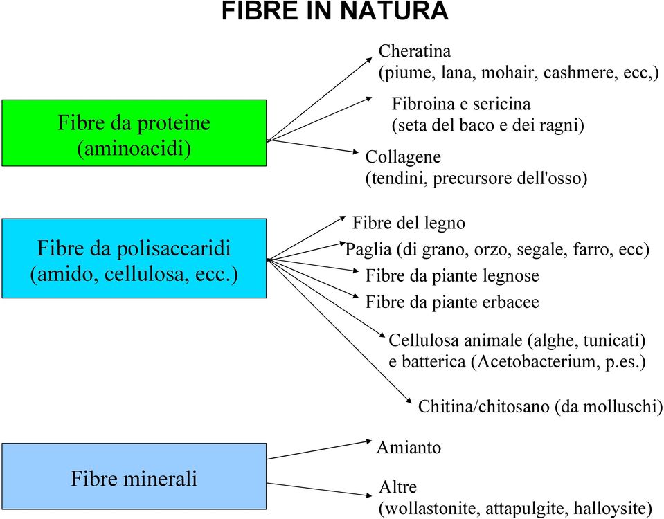 ) Fibroina e sericina (seta del baco e dei ragni) Collagene (tendini, precursore dell'osso) Fibre del legno Paglia (di grano,