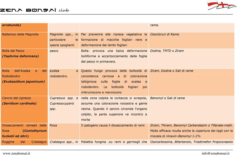 provoca una tipica deformazione Dodina, TMTD o Ziram (Taphrina deformans) bolliforme e accartocciamento delle foglie del pesco in primavera.