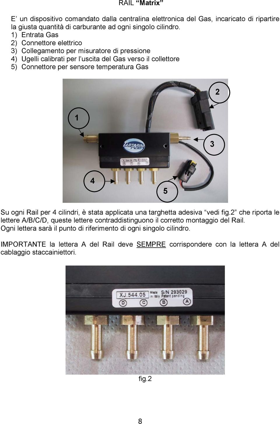 temperatura Gas 2 1 3 4 5 Su ogni Rail per 4 cilindri, è stata applicata una targhetta adesiva vedi fig.