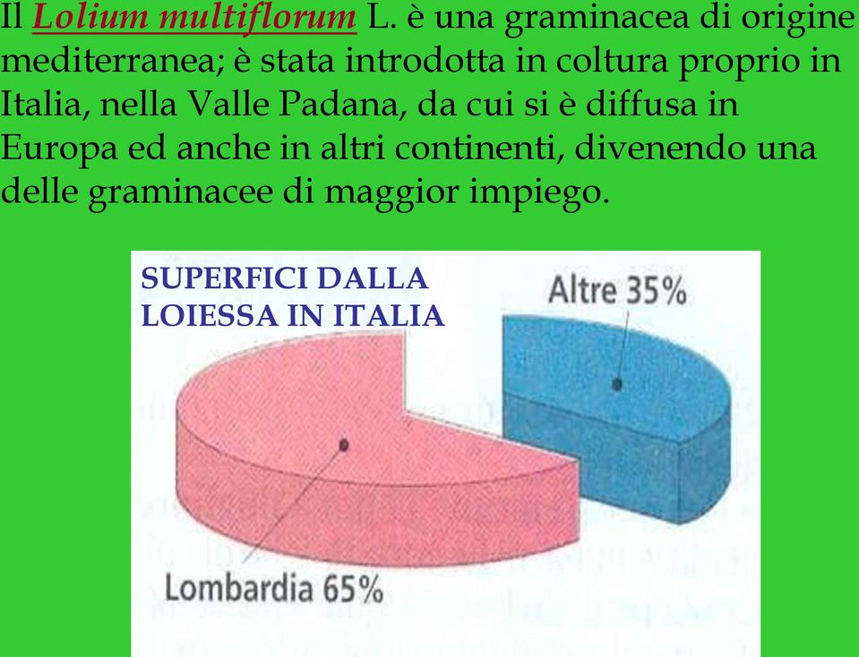 coltura proprio in Italia, nella Valle Padana, da cui si è diffusa in