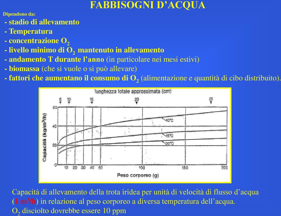 aumentano il consumo di O 2 (alimentazione e quantità di cibo distribuito).