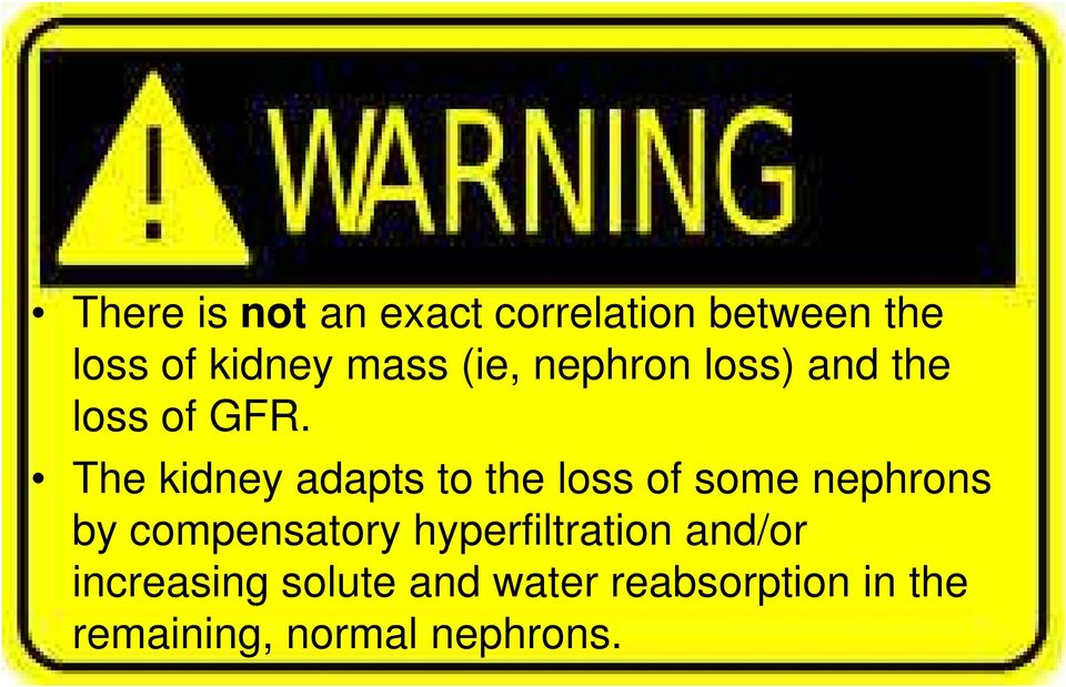 The kidney adapts to the loss of some nephrons by compensatory