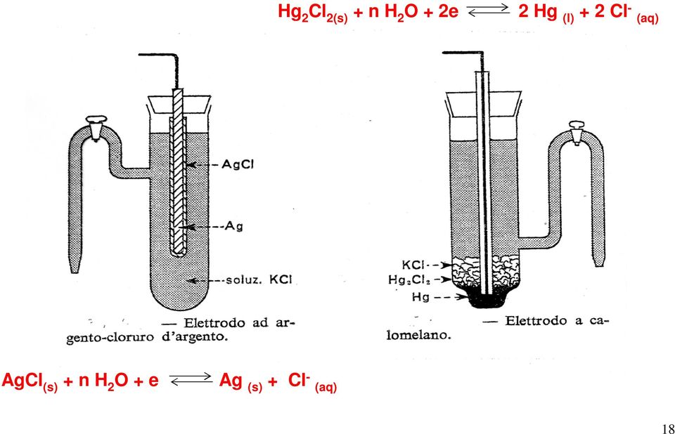 (aq) AgCl (s) n H 2