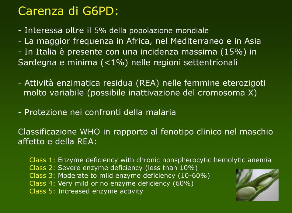 Protezione nei confronti della malaria Classificazione WHO in rapporto al fenotipo clinico nel maschio affetto e della REA: Class 1: Enzyme deficiency with chronic nonspherocytic