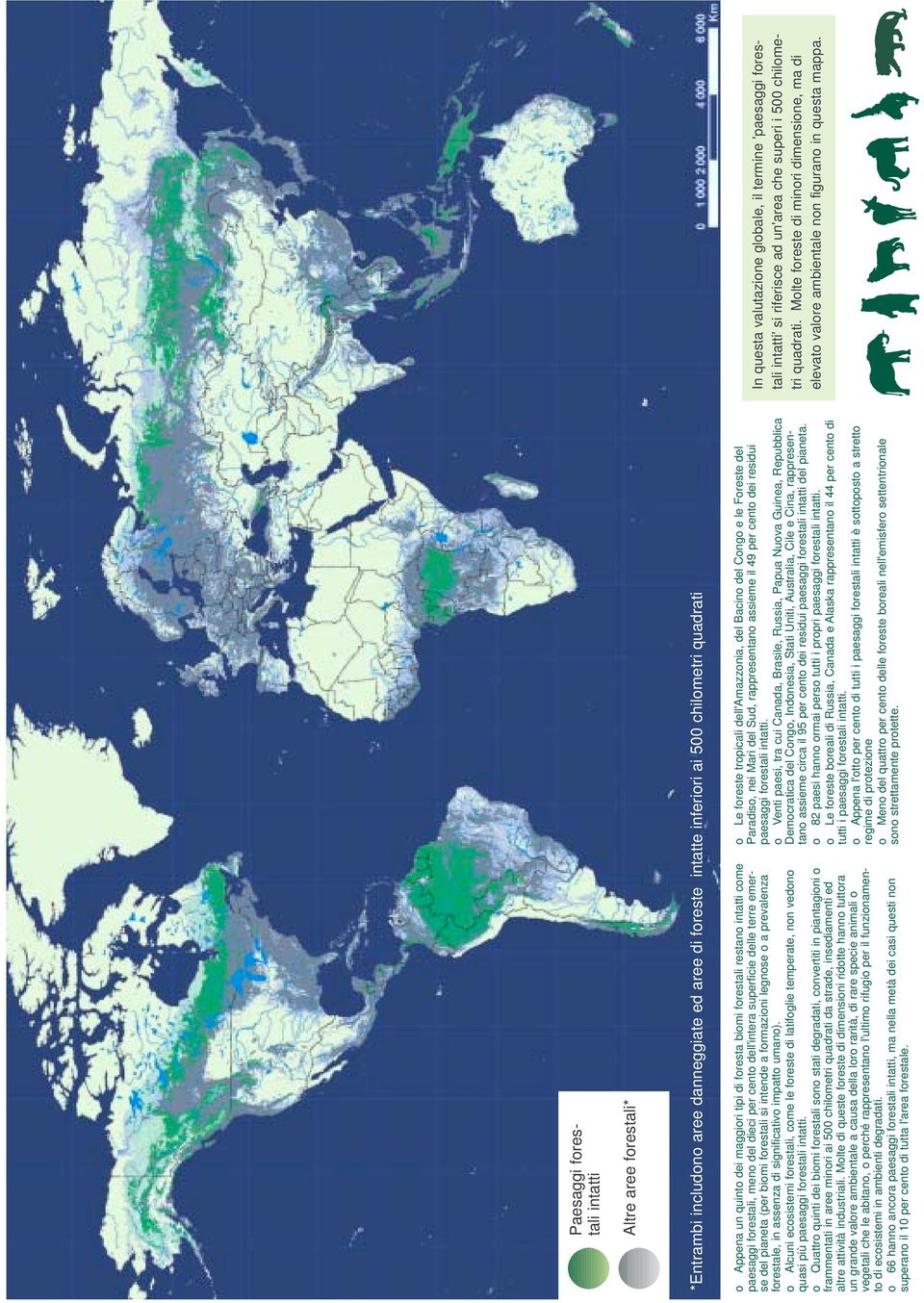 prevalenza forestale, in assenza di significativo impatto umano). o Alcuni ecosistemi forestali, come le foreste di latifoglie temperate, non vedono quasi più paesaggi forestali intatti.