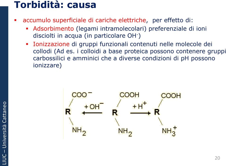 Ionizzazione di gruppi funzionali contenuti nelle molecole dei collodi (Ad es.