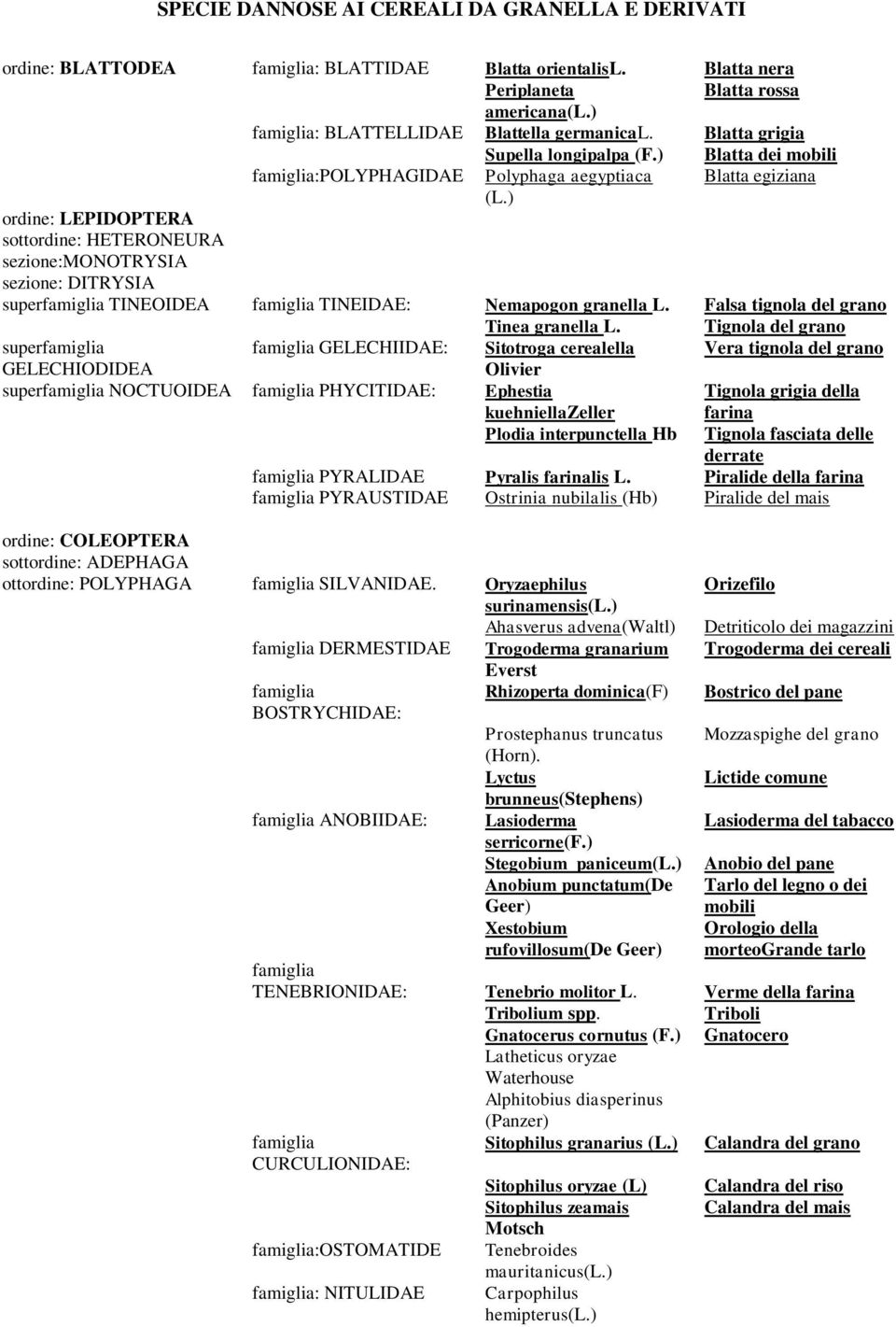 ) Blatta dei mobili famiglia:polyphagidae Polyphaga aegyptiaca Blatta egiziana ordine: LEPIDOPTERA sottordine: HETERONEURA sezione:monotrysia sezione: DITRYSIA superfamiglia TINEOIDEA famiglia