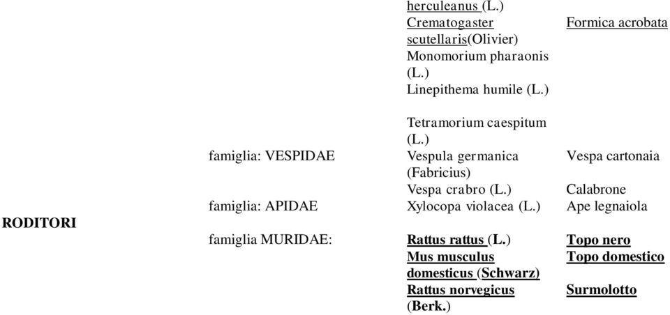 (Fabricius) Vespa crabro Calabrone famiglia: APIDAE Xylocopa violacea Ape legnaiola famiglia