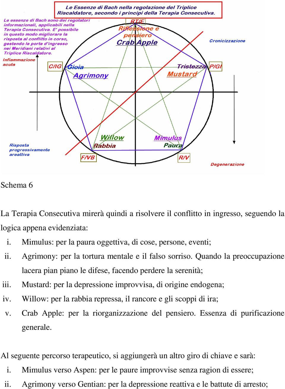 Mustard: per la depressione improvvisa, di origine endogena; iv. Willow: per la rabbia repressa, il rancore e gli scoppi di ira; v. Crab Apple: per la riorganizzazione del pensiero.