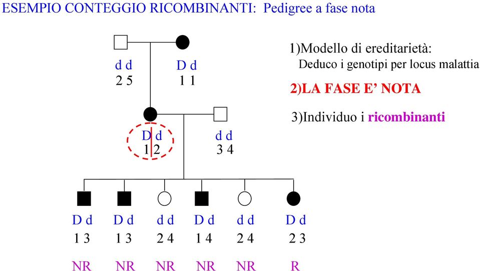 per locus malattia 2)LA FASE E NOTA 3)Individuo i ricombinanti D