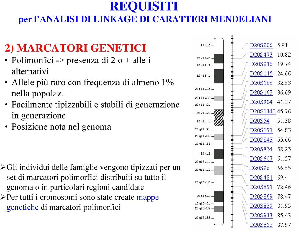 Facilmente tipizzabili e stabili di generazione in generazione Posizione nota nel genoma Gli individui delle famiglie vengono