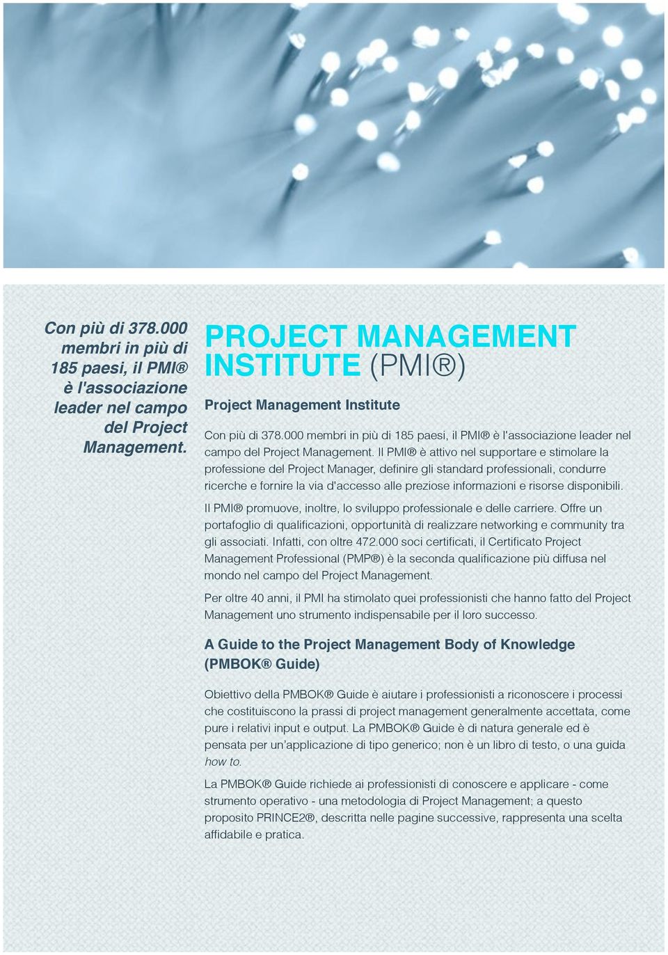 Il PMI è attivo nel supportare e stimolare la professione del Project Manager, definire gli standard professionali, condurre ricerche e fornire la via d'accesso alle preziose informazioni e risorse