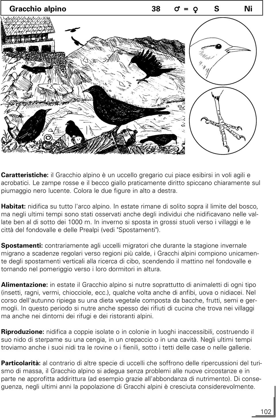 In estate rimane di solito sopra il limite del bosco, ma negli ultimi tempi sono stati osservati anche degli individui che nidificavano nelle vallate ben al di sotto dei 1000 m.