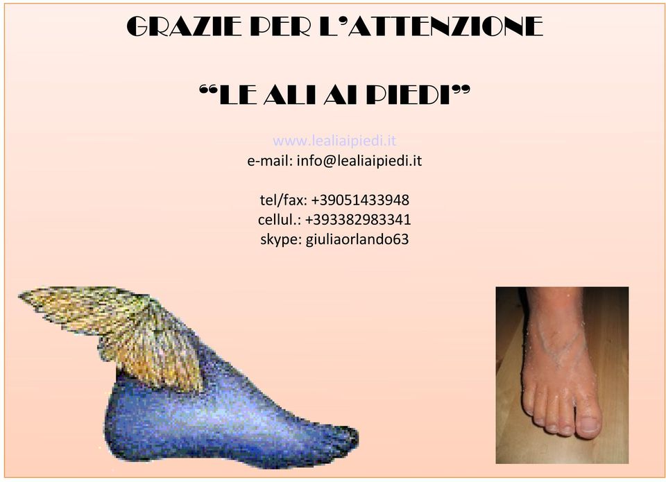 it e-mail: info@lealiaipiedi.