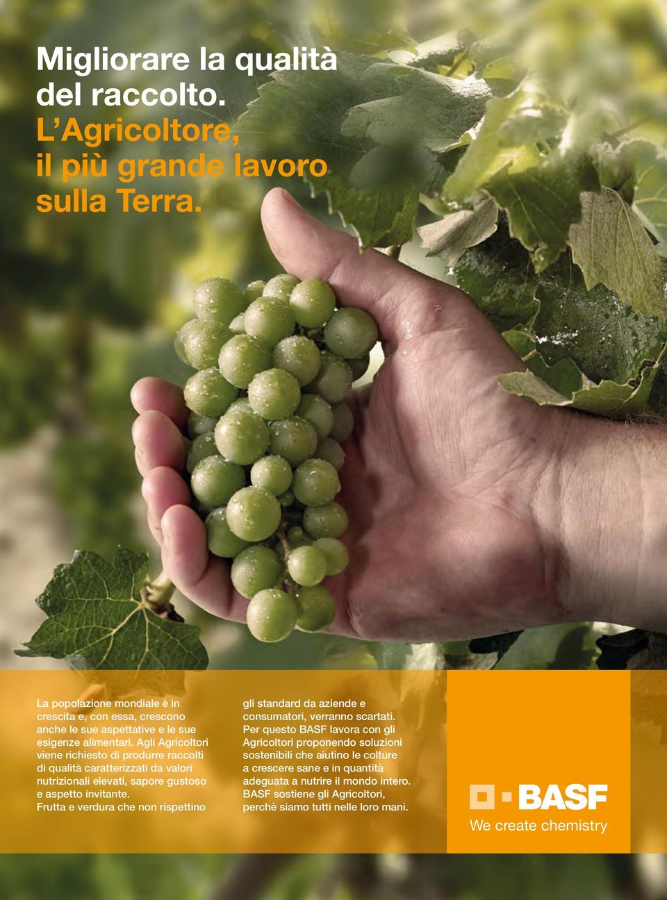 Frutta e verdura che non rispettino gli standard da aziende e consumatori, verranno scartati.