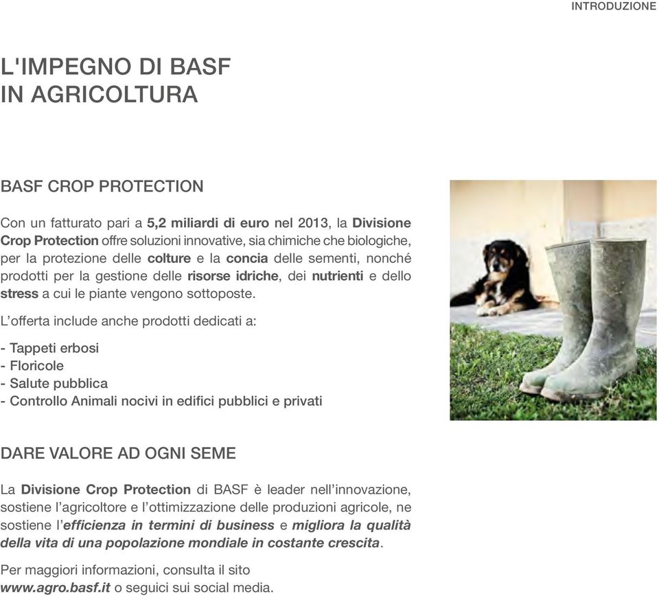 L offerta include anche prodotti dedicati a: Tappeti erbosi Floricole Salute pubblica Controllo Animali nocivi in edifici pubblici e privati DARE VALORE AD OGNI SEME La Divisione Crop Protection di