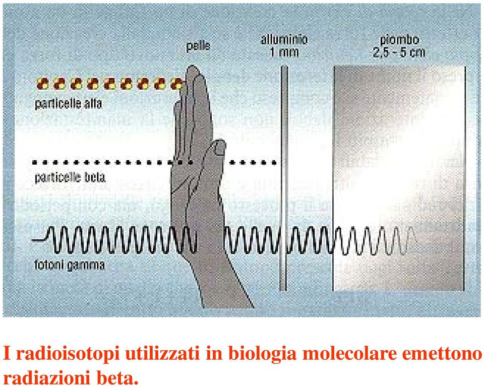 biologia