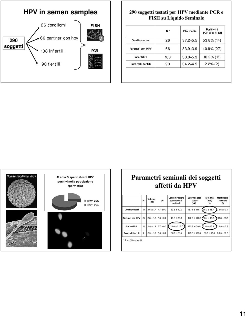 2% (2) Media % spermatozoi HPV positivi nella popolazione spermatica Parametri seminali dei soggetti affetti da HPV HPV+ 25% HPV 75% N Volume (ml) ph Concentrazione spermatozoi (mil/ml) Spermatozoi