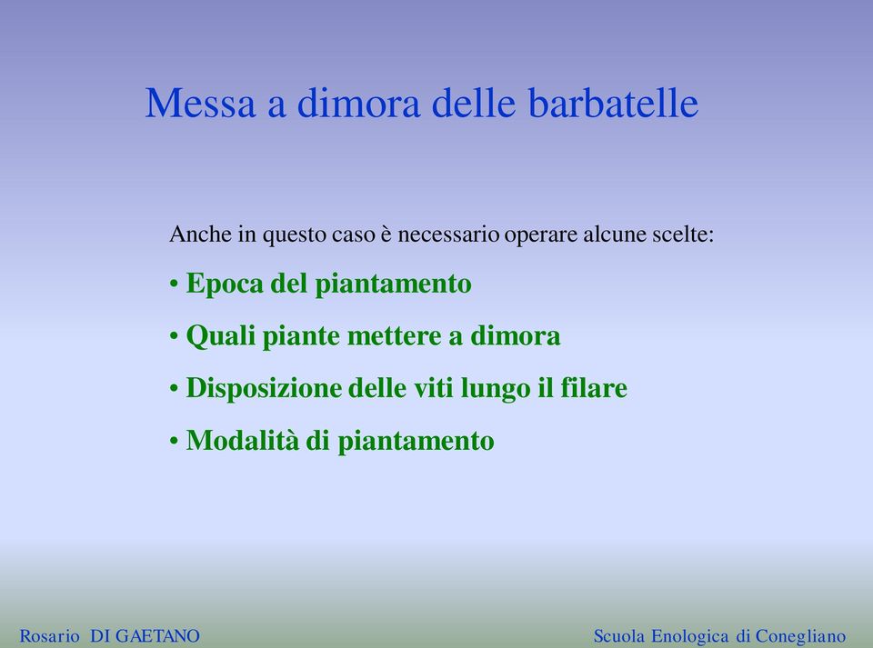 piantamento Quali piante mettere a dimora