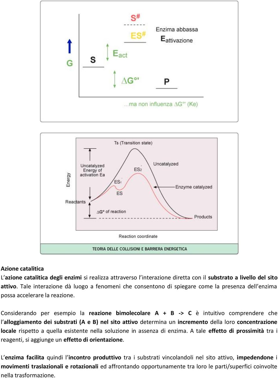 Considerando per esempio la reazione bimolecolare A + B -> C è intuitivo comprendere che l alloggiamento dei substrati (A e B) nel sito attivo determina un incremento della loro concentrazione locale