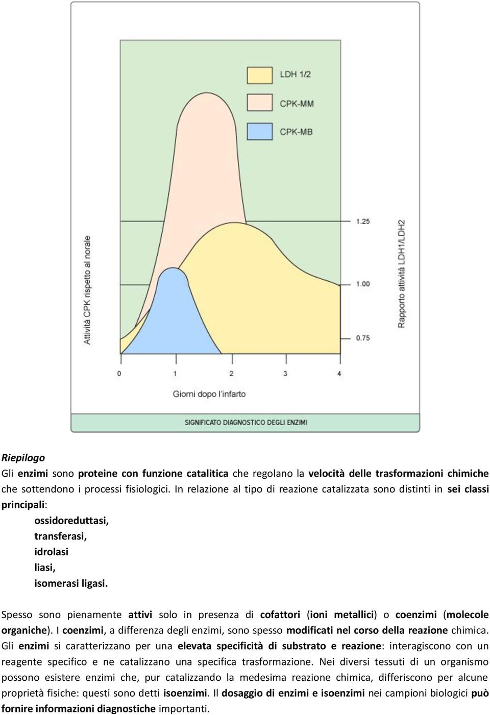 Spesso sono pienamente attivi solo in presenza di cofattori (ioni metallici) o coenzimi (molecole organiche).