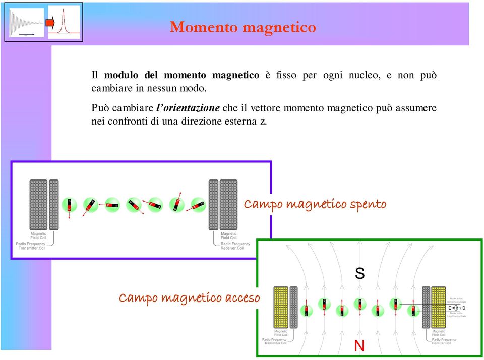 Può cambiare l orientazione che il vettore momento magnetico può
