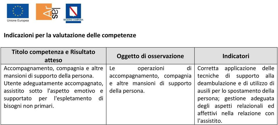 Oggetto di osservazione Le operazioni di accompagnamento, compagnia e altre mansioni di supporto della persona.