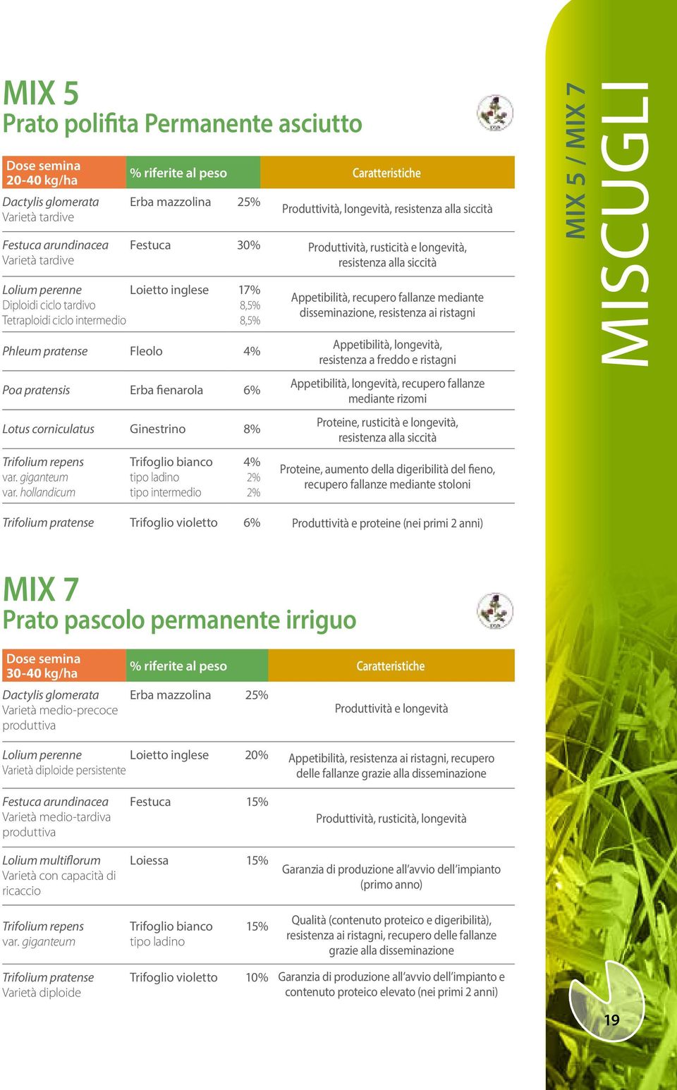 inglese 17% 8,5% 8,5% Phleum pratense Fleolo 4% Poa pratensis Erba fienarola 6% Lotus corniculatus Ginestrino 8% Trifolium repens var. giganteum var.