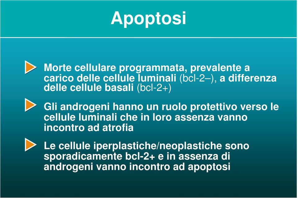 le cellule luminali che in loro assenza vanno incontro ad atrofia Le cellule