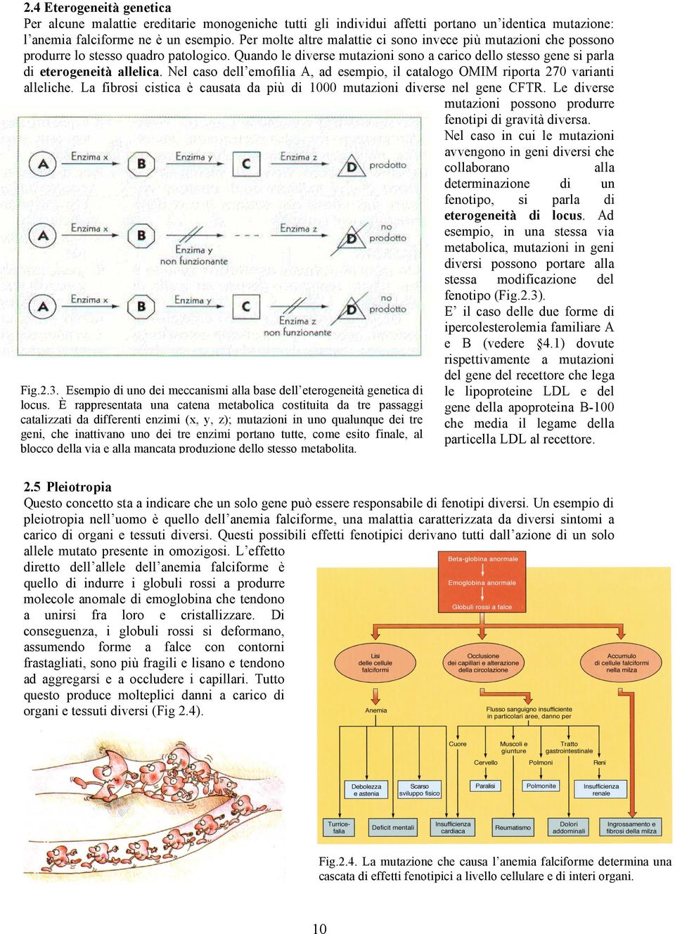 Nel caso dell emofilia A, ad esempio, il catalogo OMIM riporta 270 varianti alleliche. La fibrosi cistica è causata da più di 1000 mutazioni diverse nel gene CFTR.