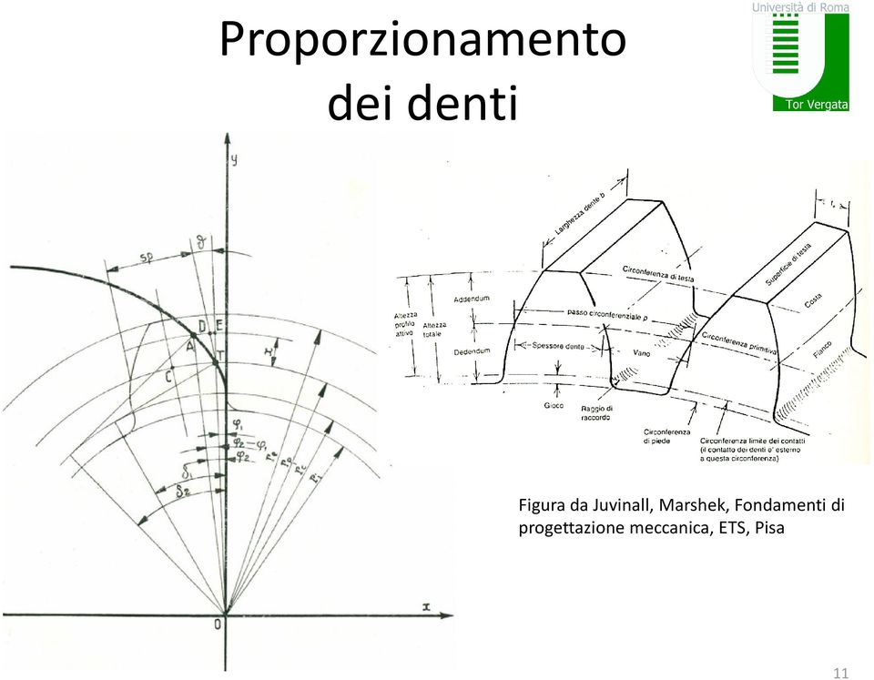 Marshek, Fondamenti di