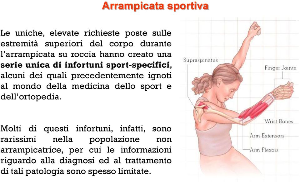 della medicina dello sport e dell ortopedia.