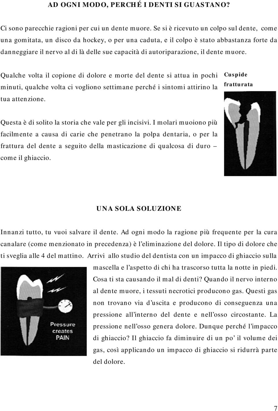 autoriparazione, il dente muore. Qualche volta il copione di dolore e morte del dente si attua in pochi minuti, qualche volta ci vogliono settimane perché i sintomi attirino la tua attenzione.