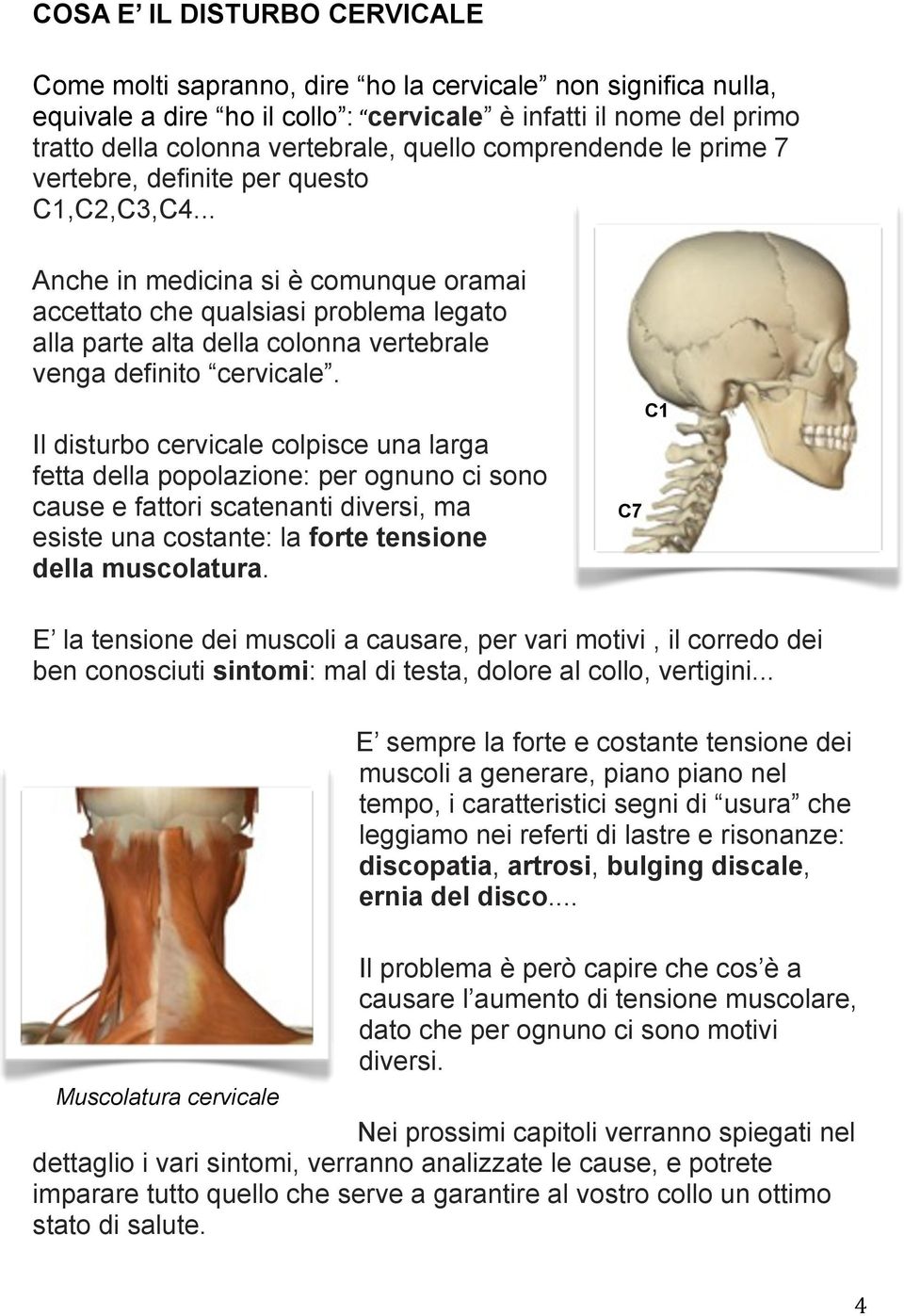 .. Anche in medicina si è comunque oramai accettato che qualsiasi problema legato alla parte alta della colonna vertebrale venga definito cervicale.