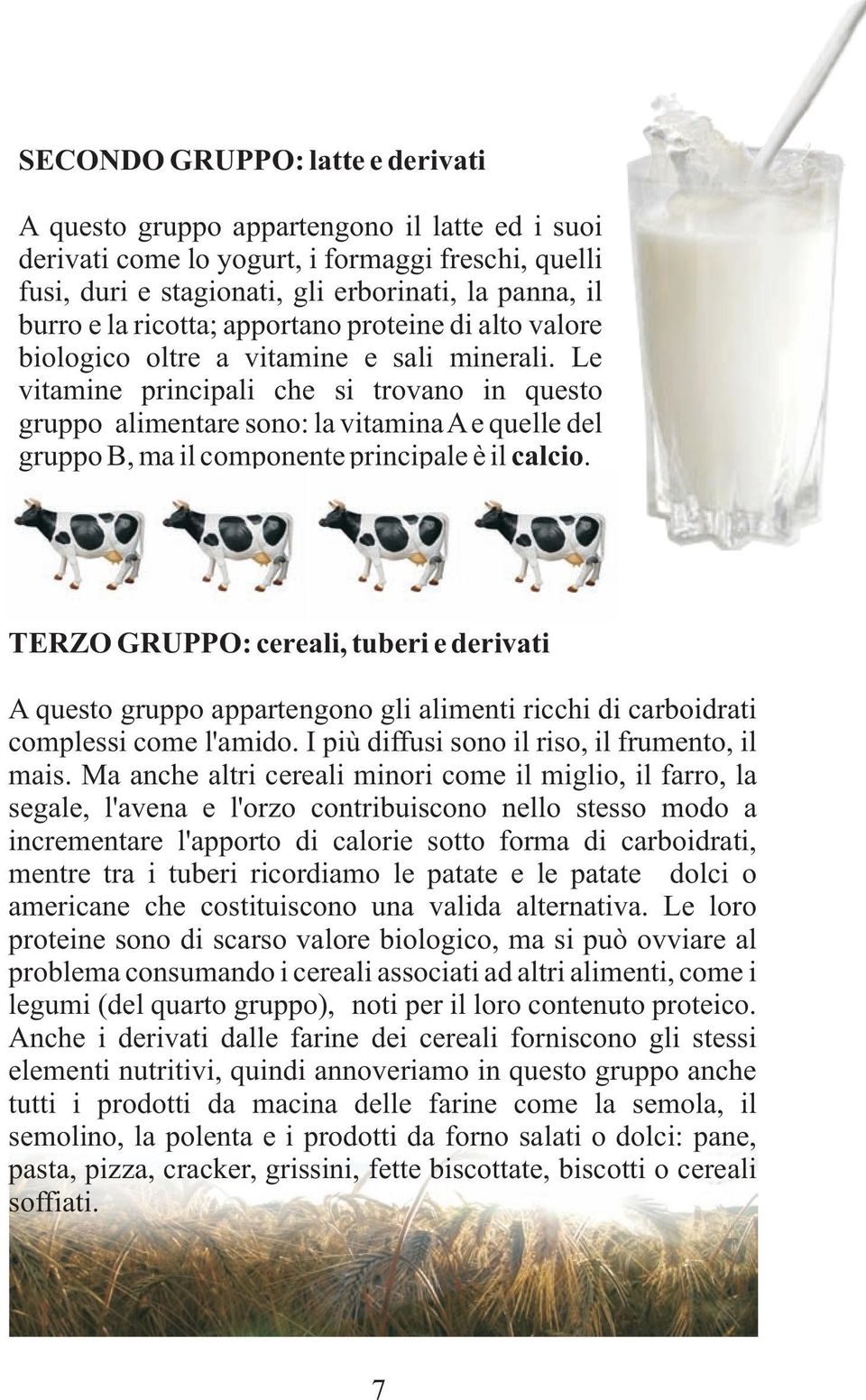 il componente principale è il calcio TERZO GRUPPO: cereali, tuberi e derivati A questo gruppo appartengono gli alimenti ricchi di carboidrati complessi come l'amido I più diffusi sono il riso, il