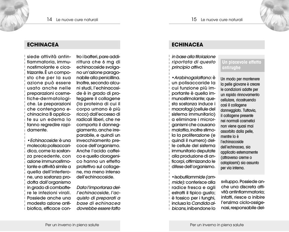 Le preparazioni che contengono e- chinacina B applicate su un edema lo fanno regredire rapidamente.