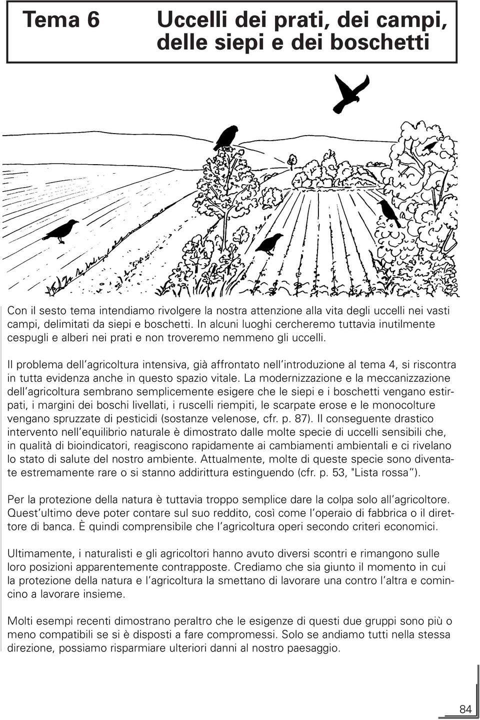 Il problema dell agricoltura intensiva, già affrontato nell introduzione al tema 4, si riscontra in tutta evidenza anche in questo spazio vitale.